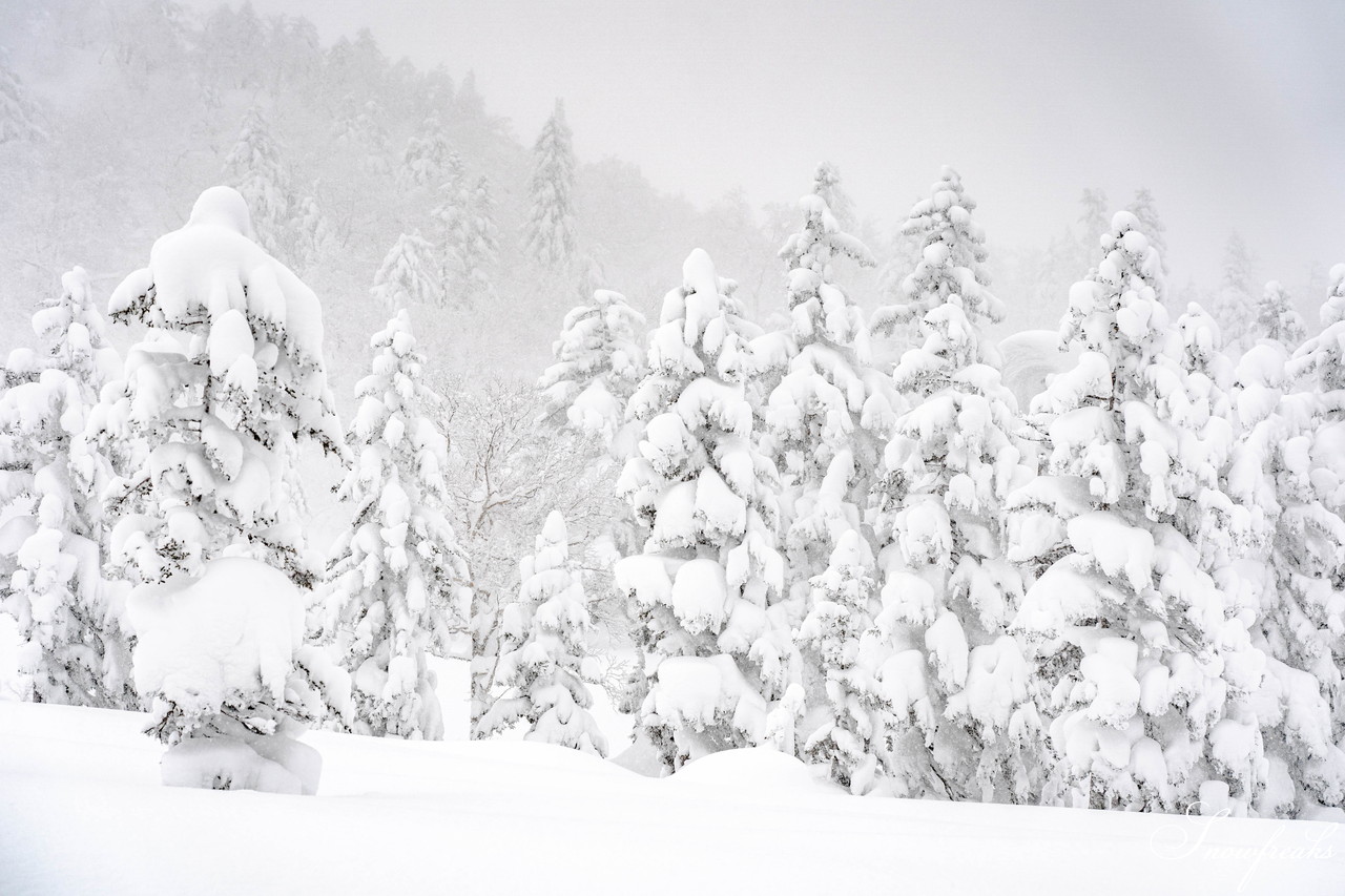 2021 Skiing photo shoot trip in ASAHIDAKE